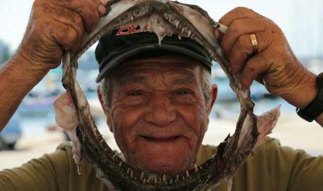 Dallo squalo di 450 chili a Ninucc cazz cazz